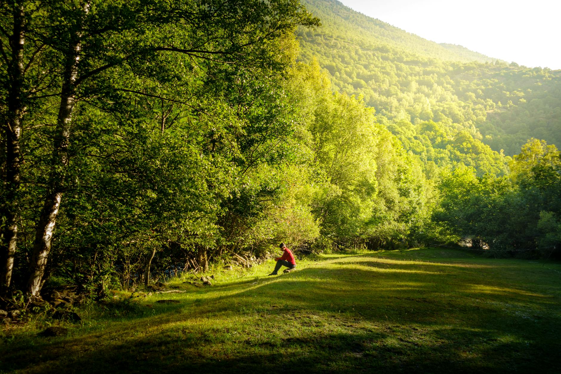 The Quiet Rebellion of Being Enough