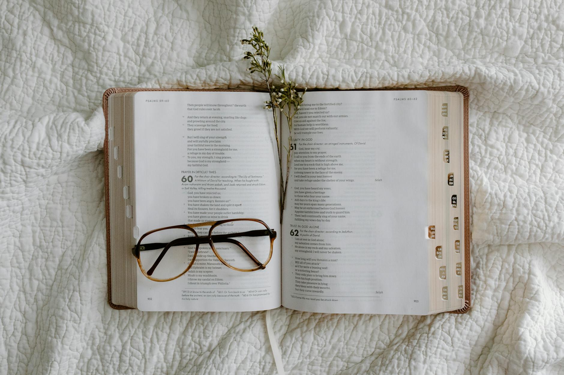 The Quiet Cost of Being Known: Biblical Integrity vs. Transparency