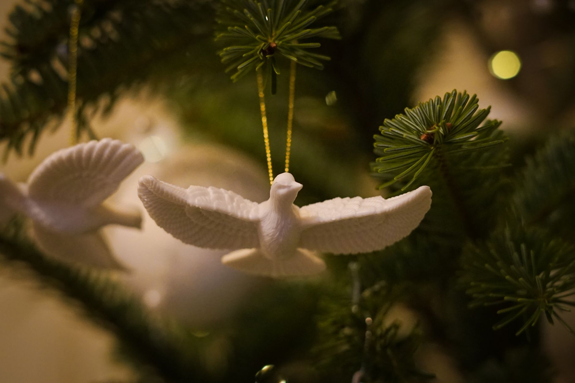Pentecost and the Coming of the Holy Spirit - Devotional