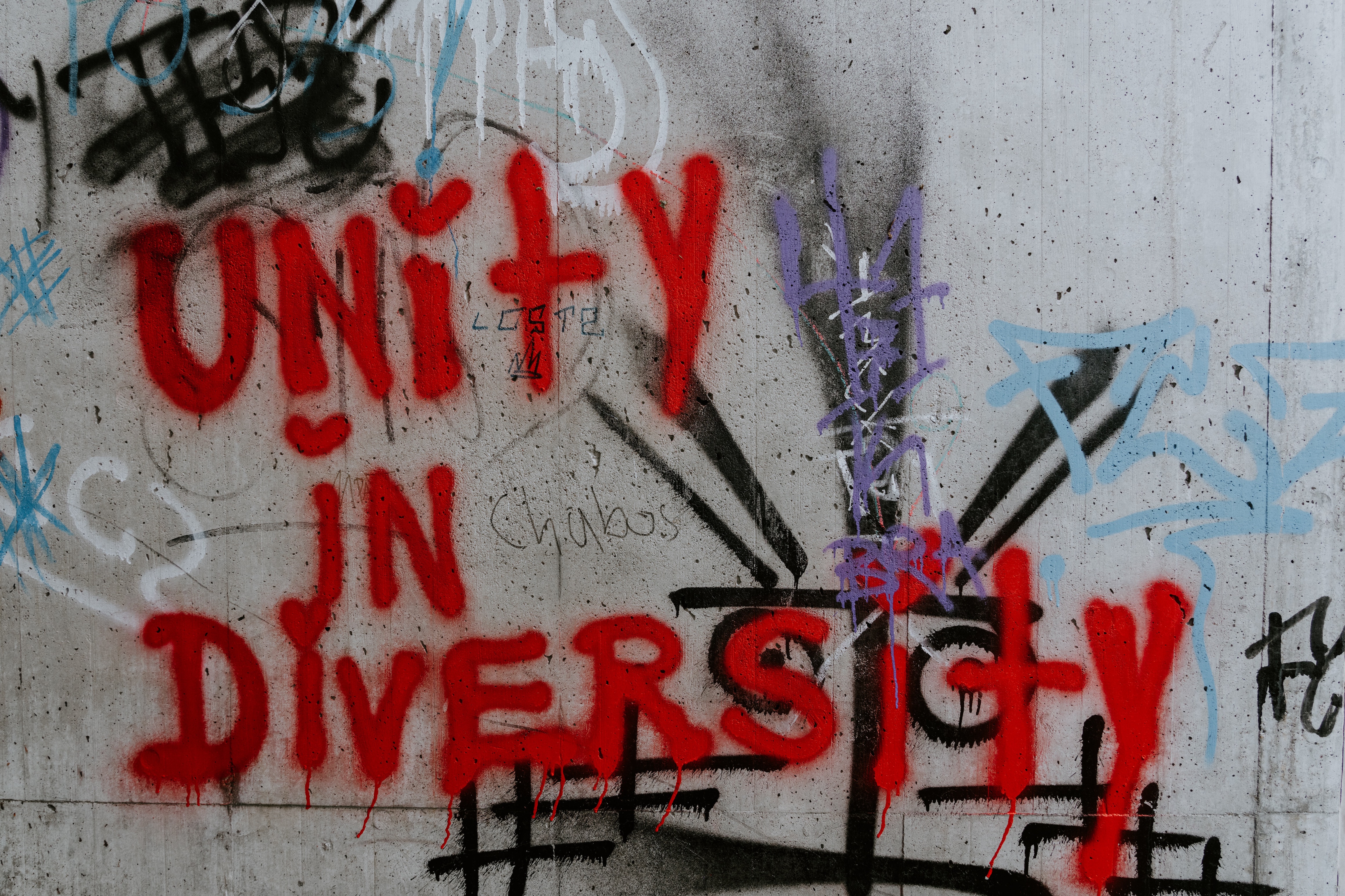Unity in Diversity Matters
