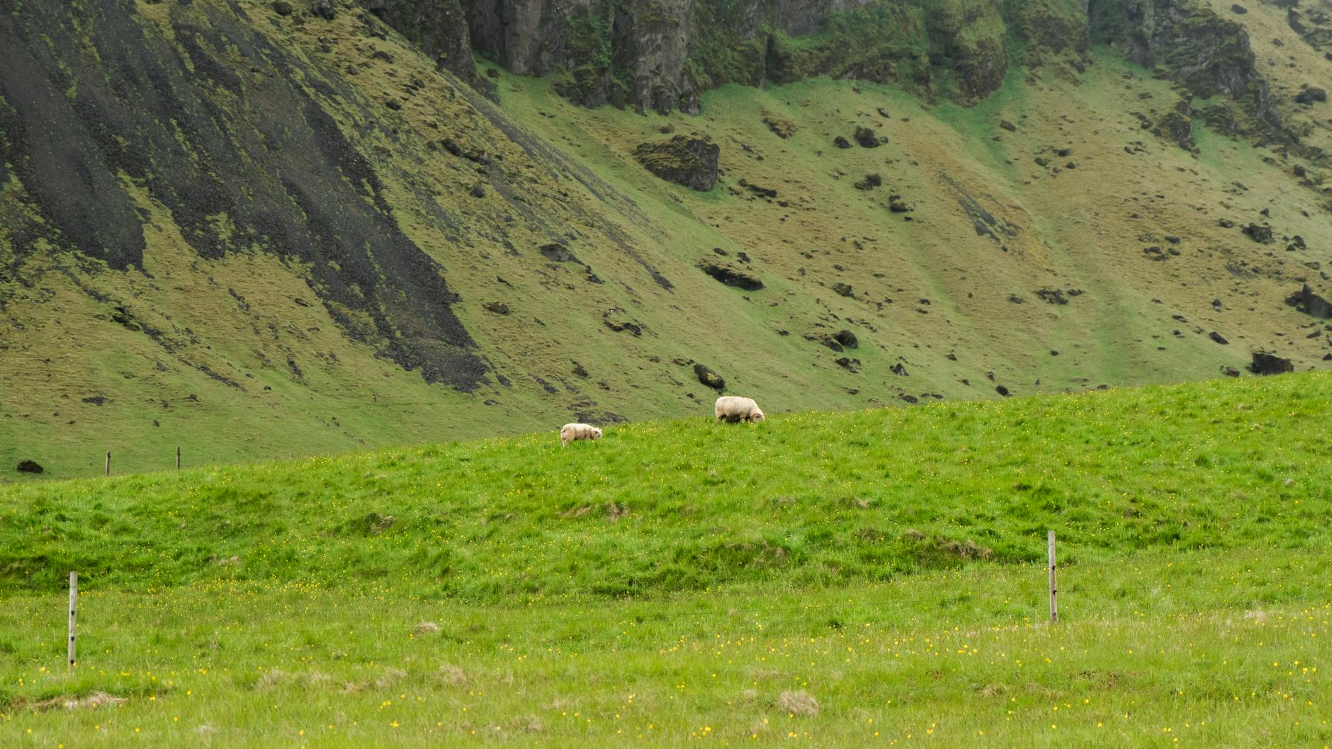 God's Gentle Guidance