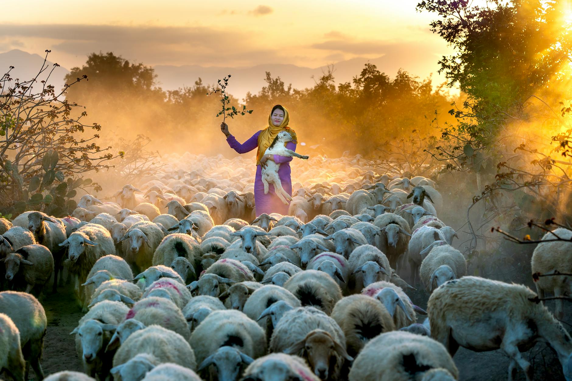 The Lost Sheep Parable Reveals God's Care