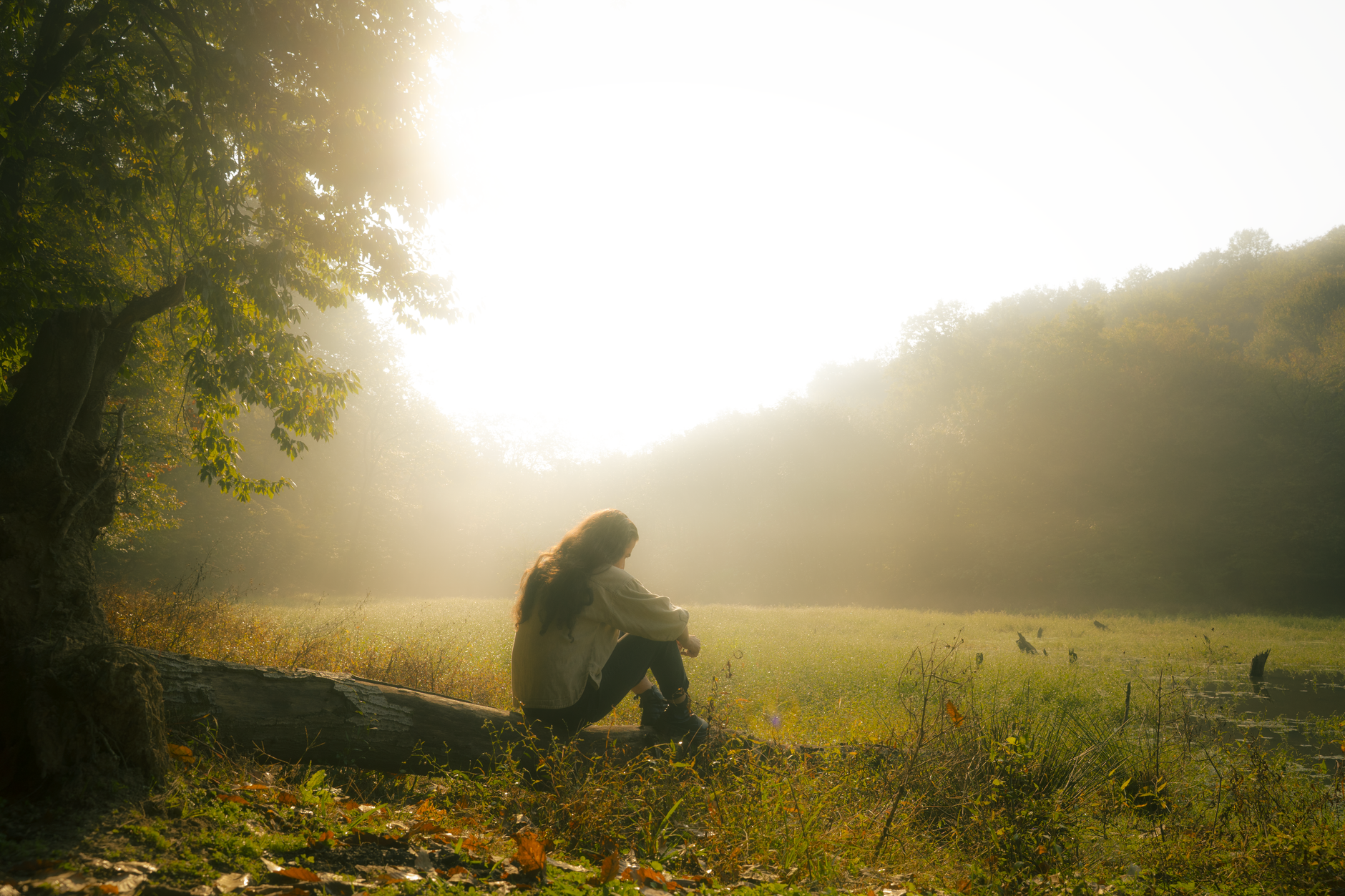 Imago Dei Meaning: Why Your Design Includes Rest