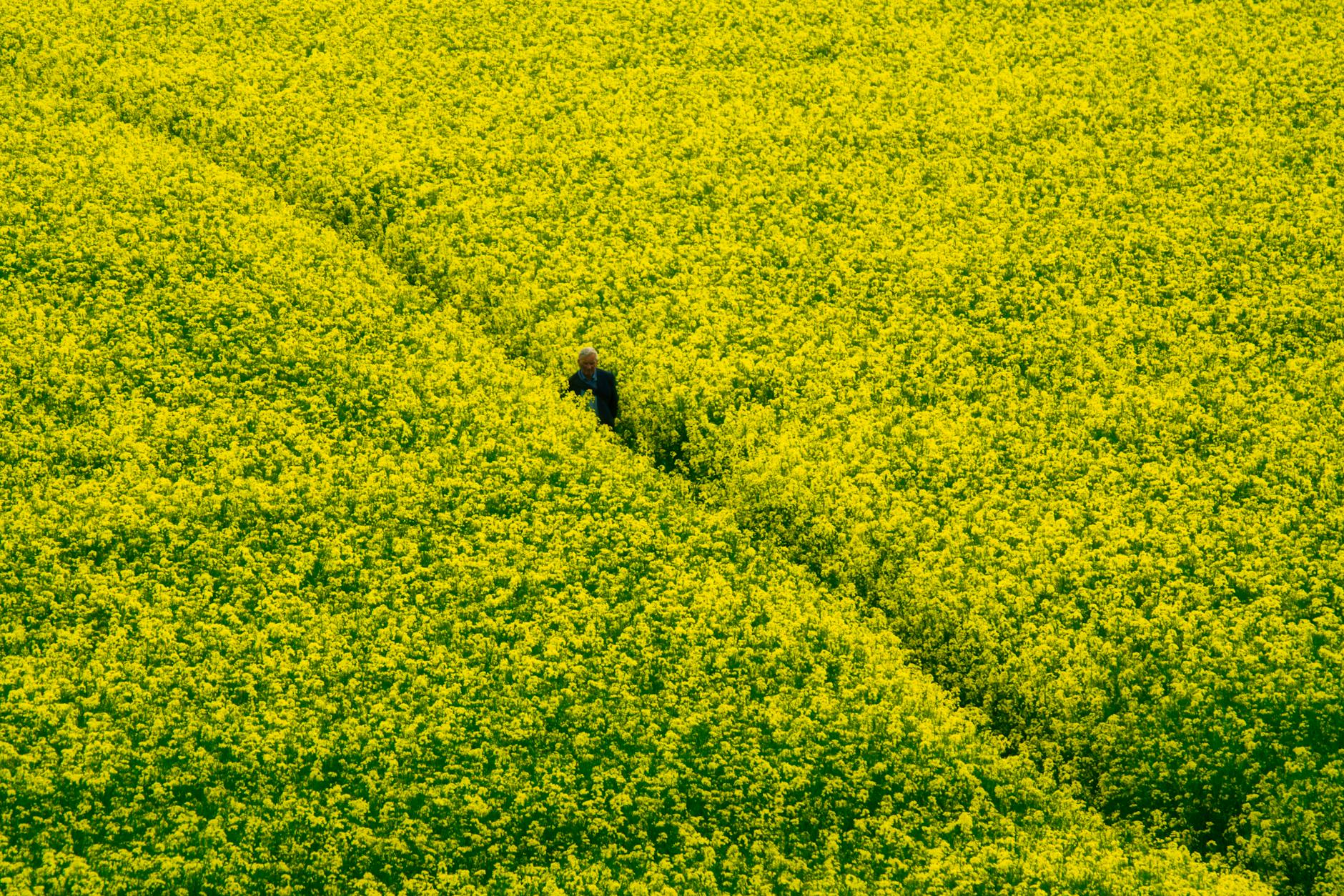 Seeds of Faith: Living the Resurrection