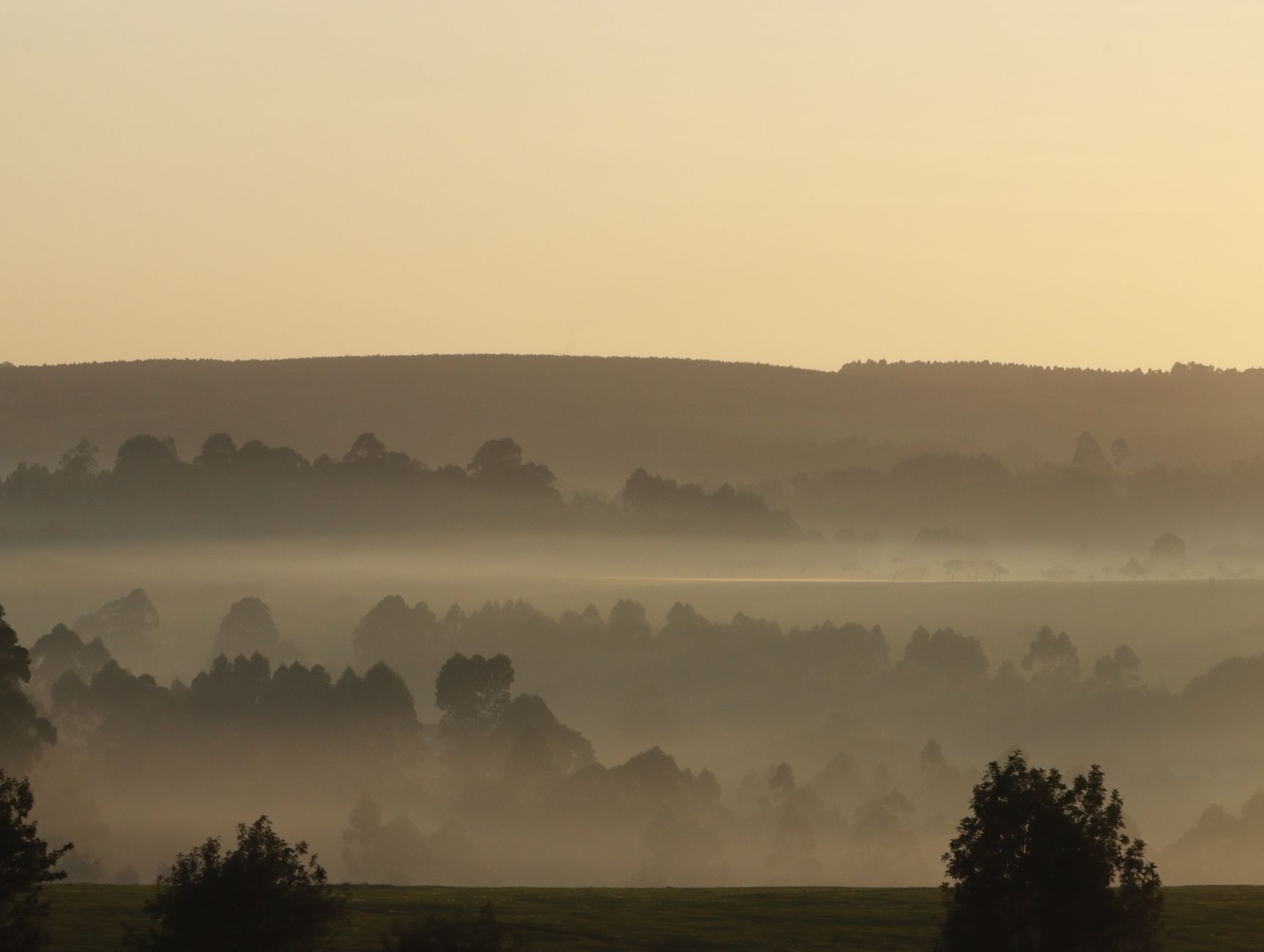 Isaiah’s Whisper: Finding Hope When the Future Looks Like Fog