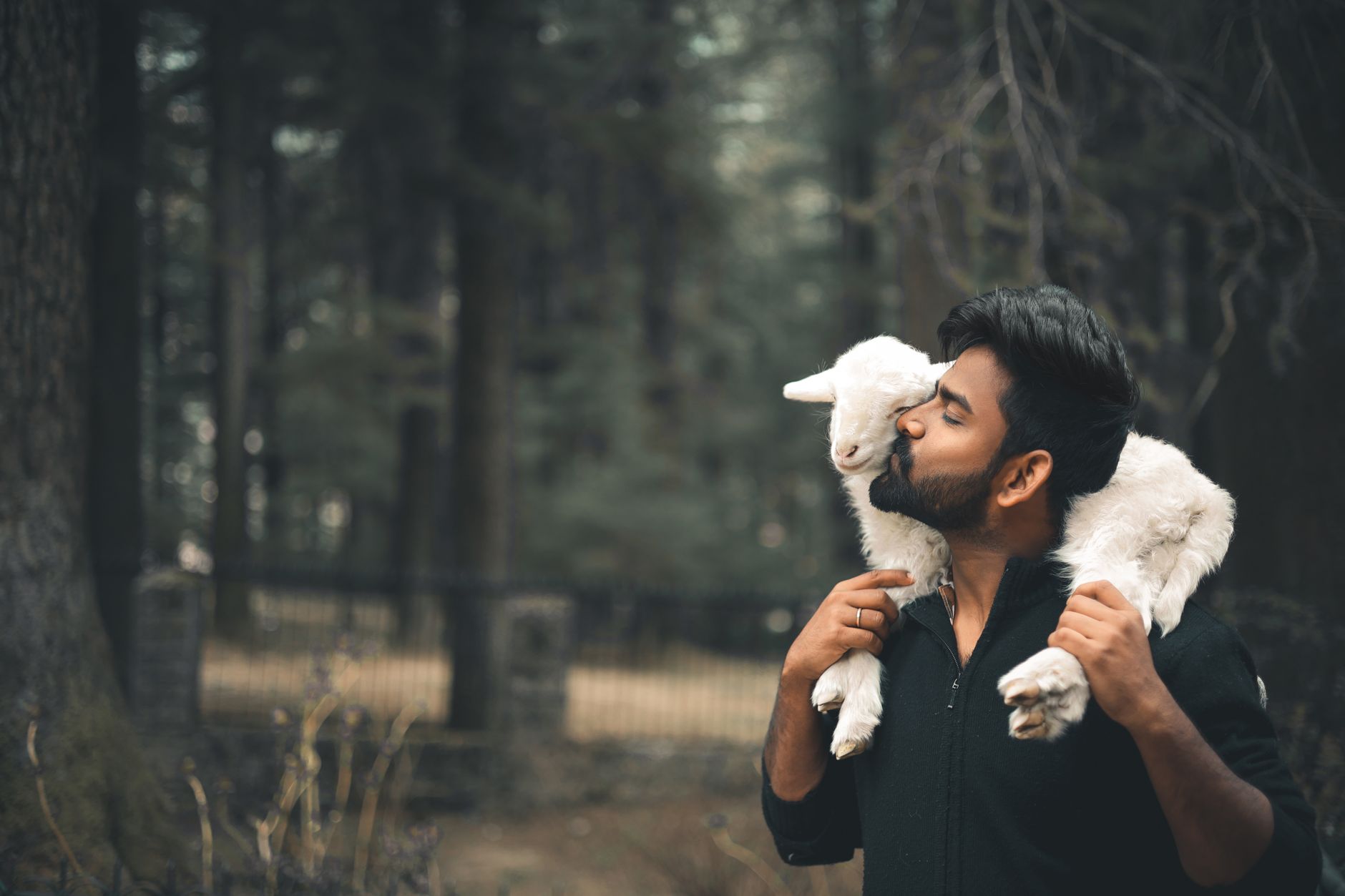 Luke 15 Explained: Why God Runs After the One