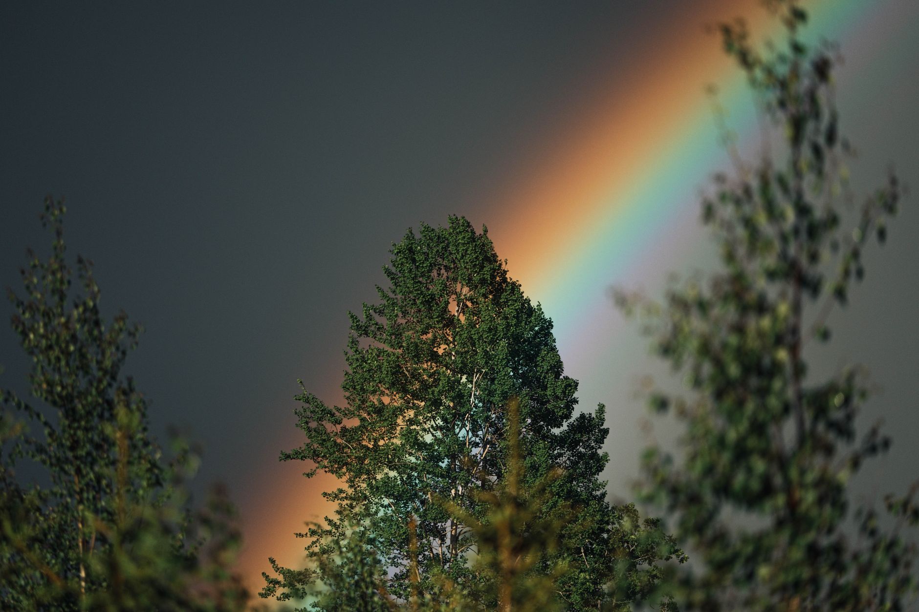 Rainbow Meaning: God’s Reminder to Himself, Not Just Us