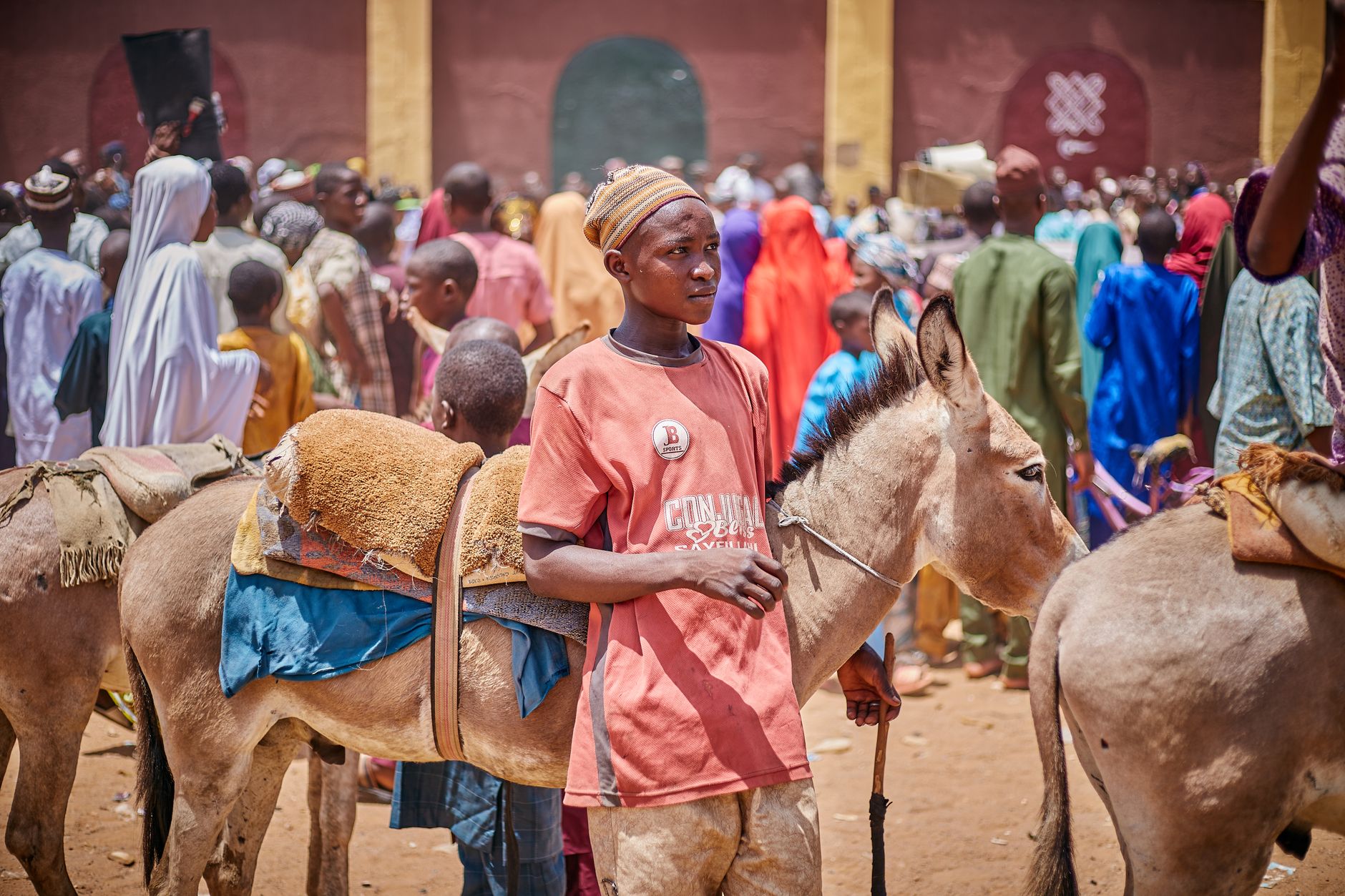 The Donkey’s Dignity: Why Jesus Chose a Humble Beast for His Entry