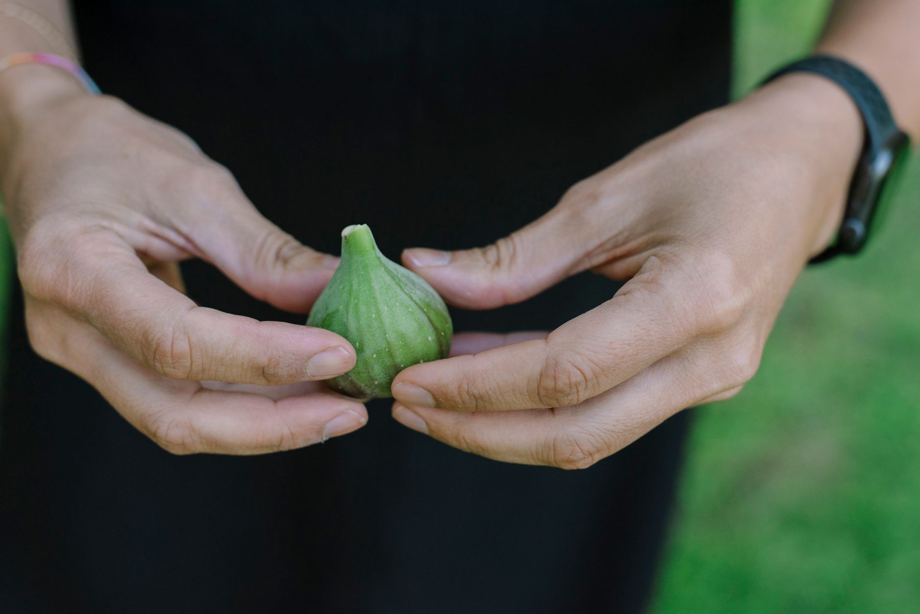 The Boy’s Lunch: How Small Sacrifices Feed the Five Thousand