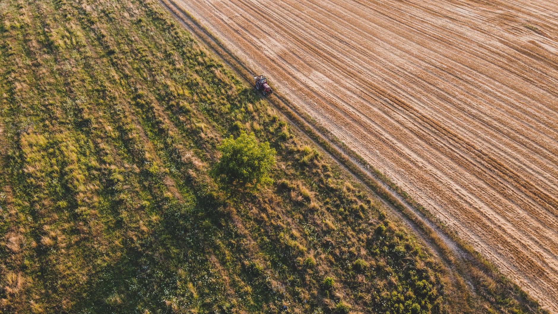 Matthew 13 Meaning: Why the Parable of the Sower Confuses Us