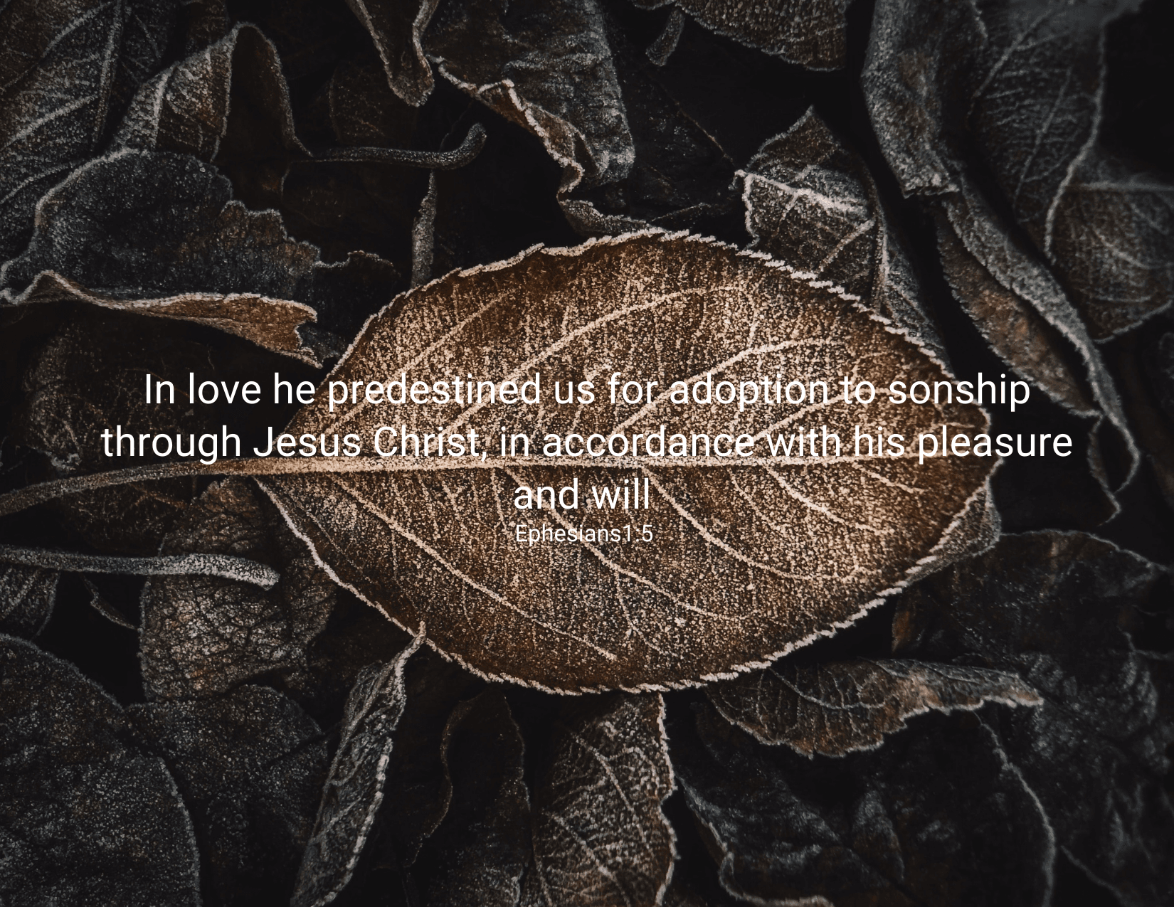 Predestine to be His Children