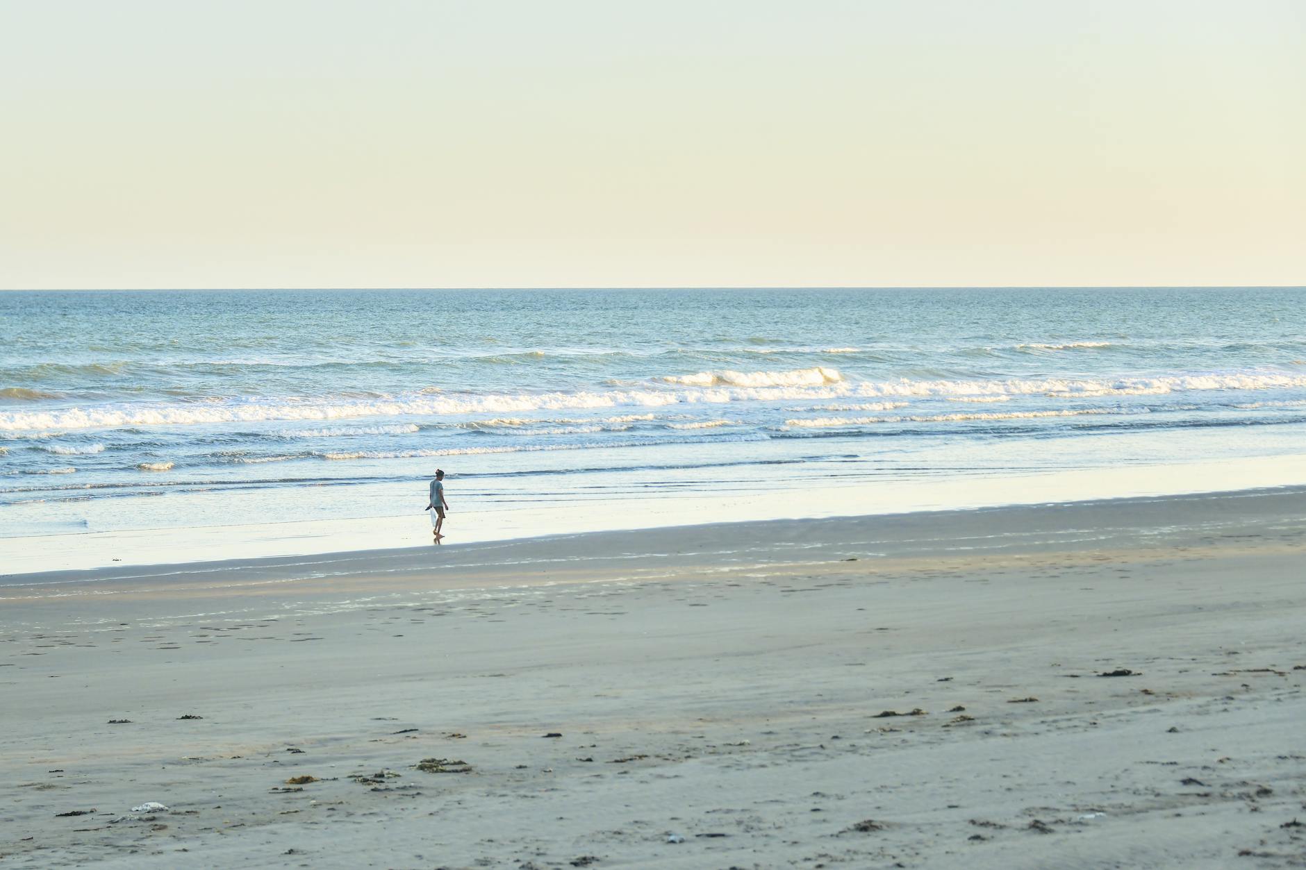 Wellness & Gratitude