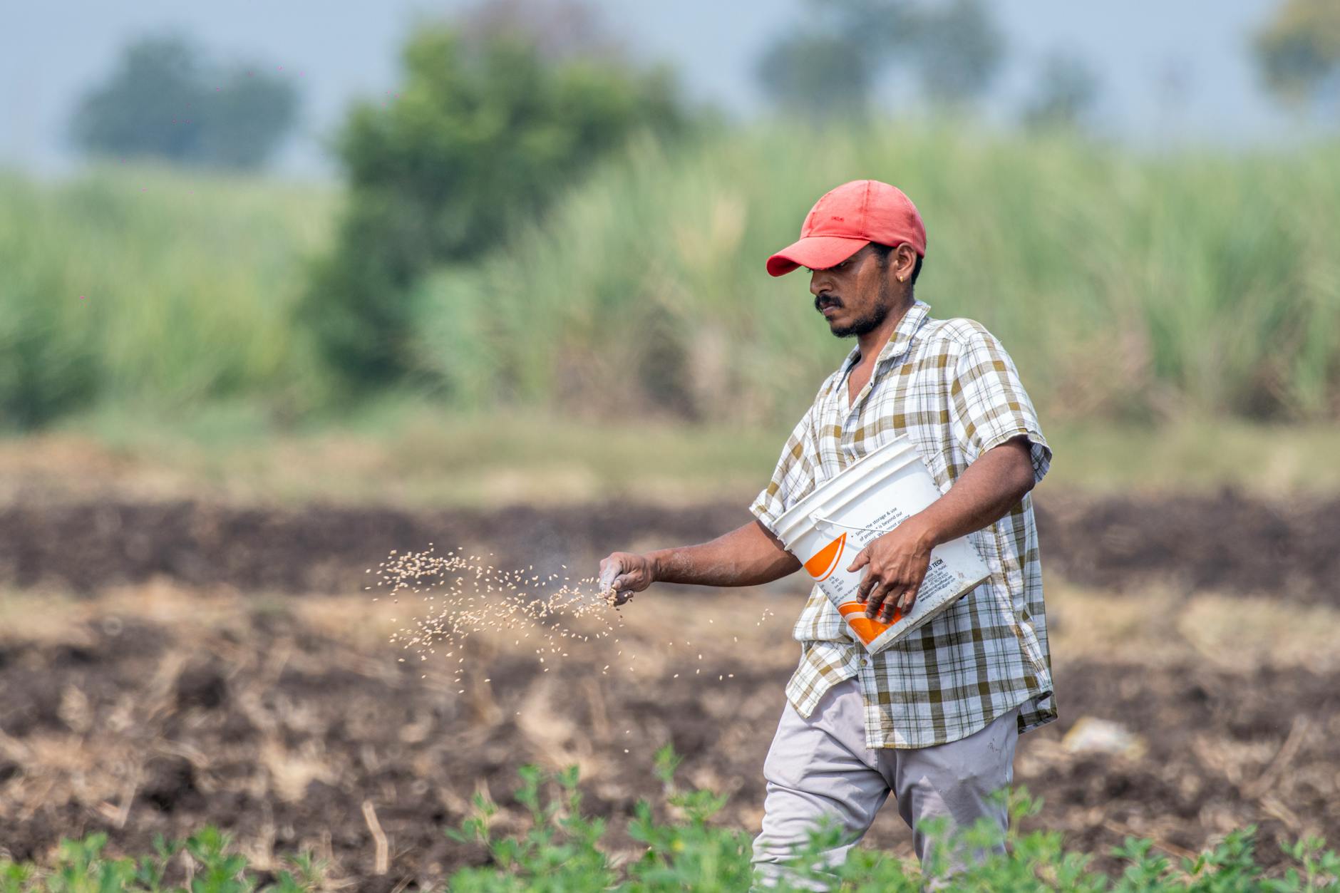 The Soil Doesn’t Matter. The Seed Does.