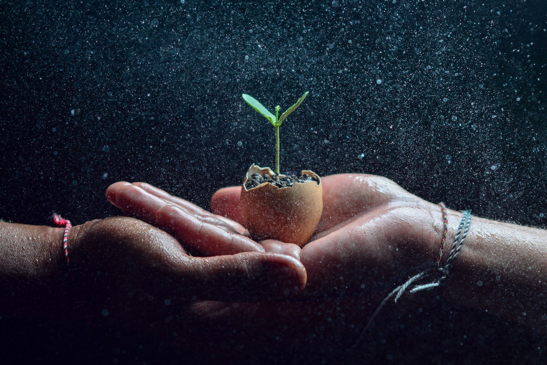 Mustard Seed Faith: Why Small Belief Moves Big Mountains