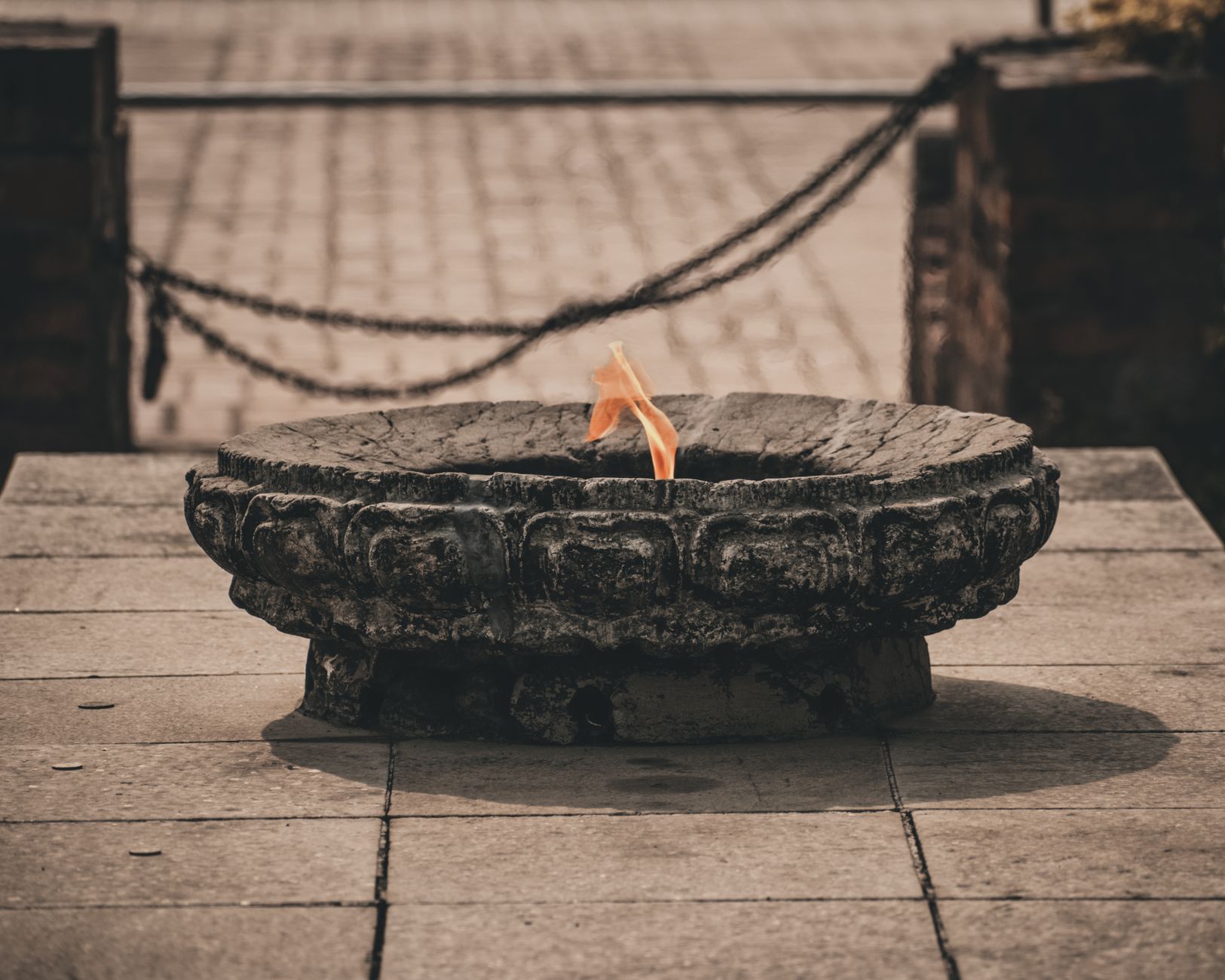 Elijah’s Prayer: When God Shows Up With Fire