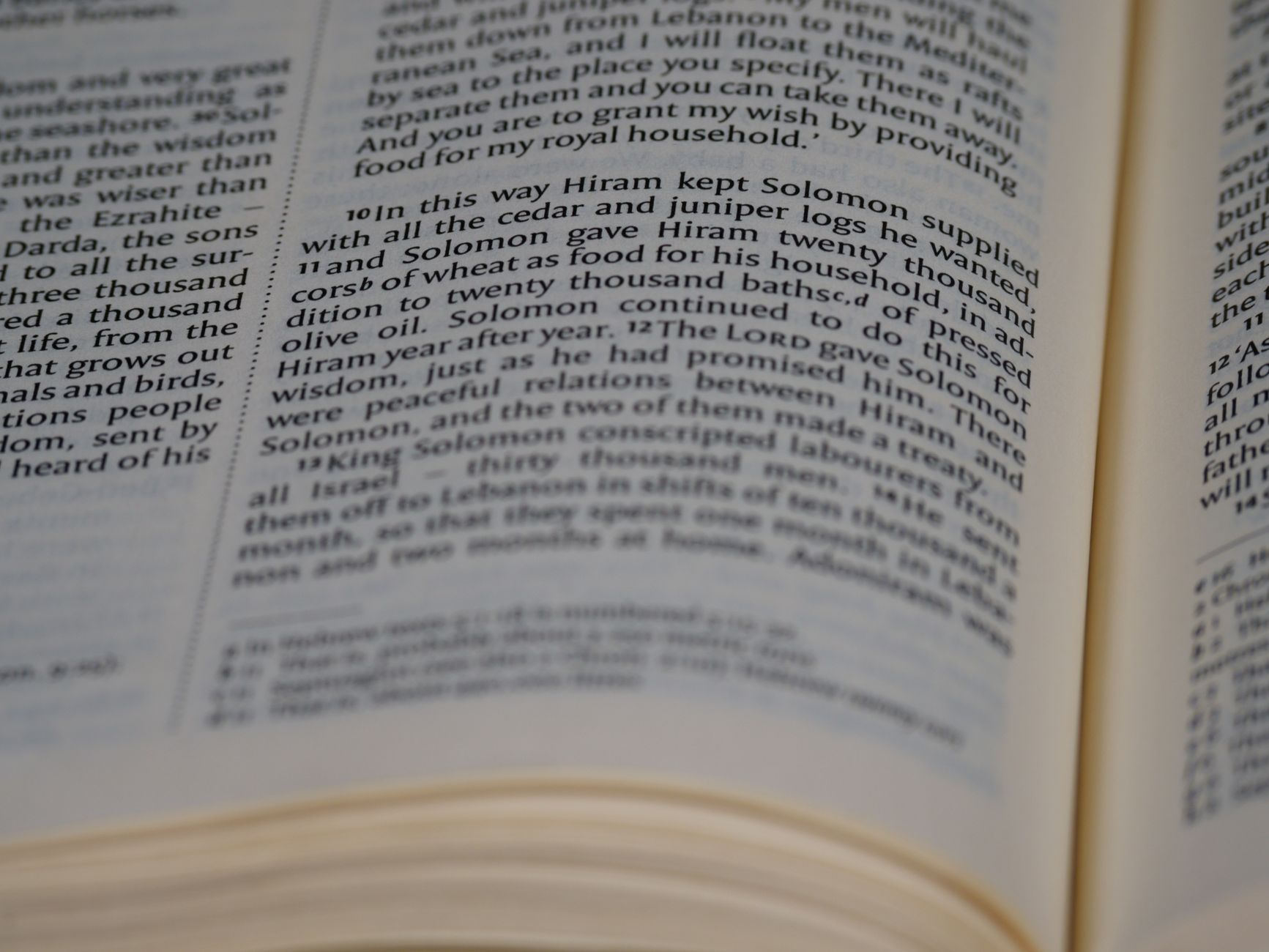 Solomon’s Trap: When Biblical Wisdom Becomes a Heavy Weight