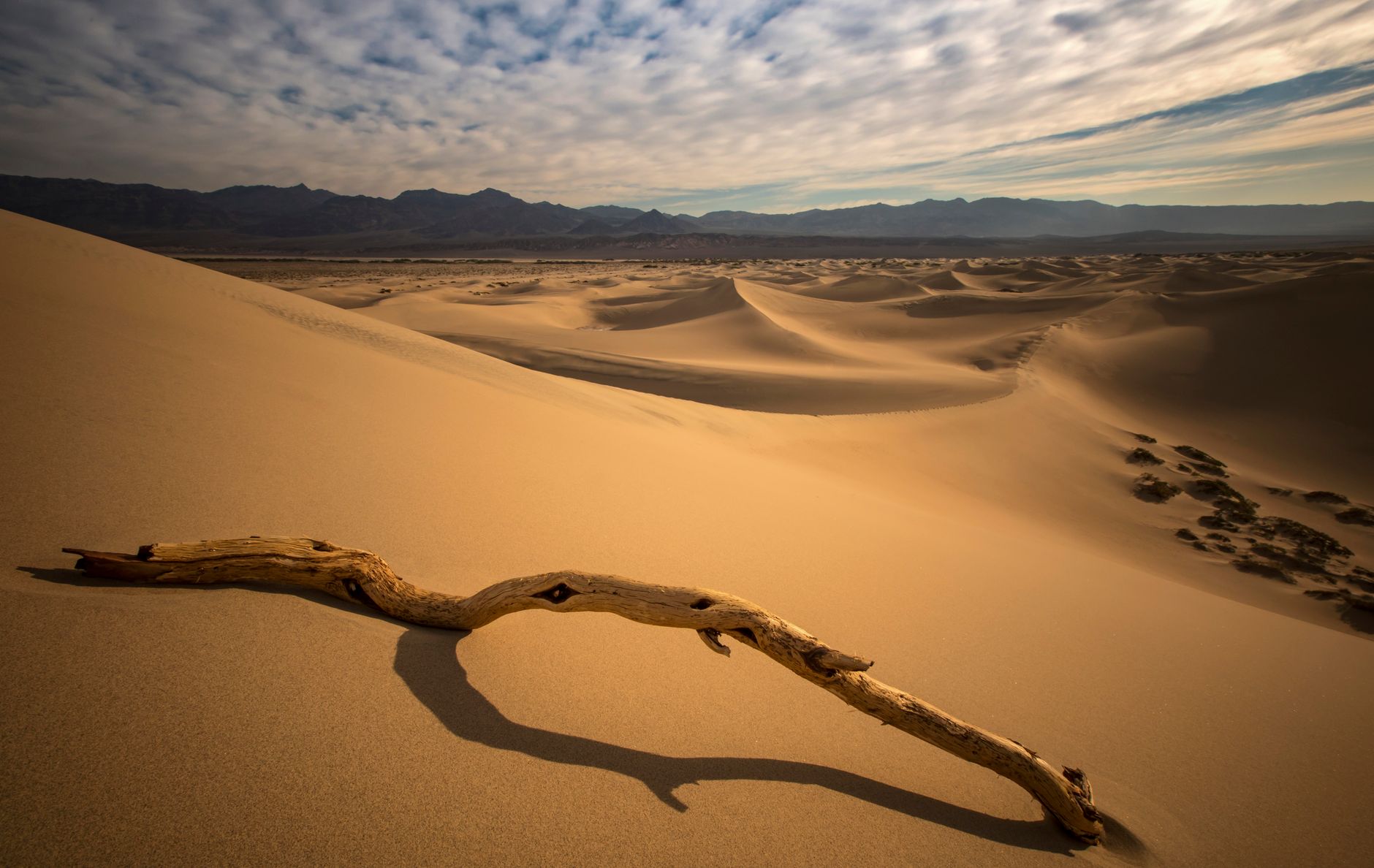 Ezekiel’s Valley: How to Prophesy Life Into Dead Things