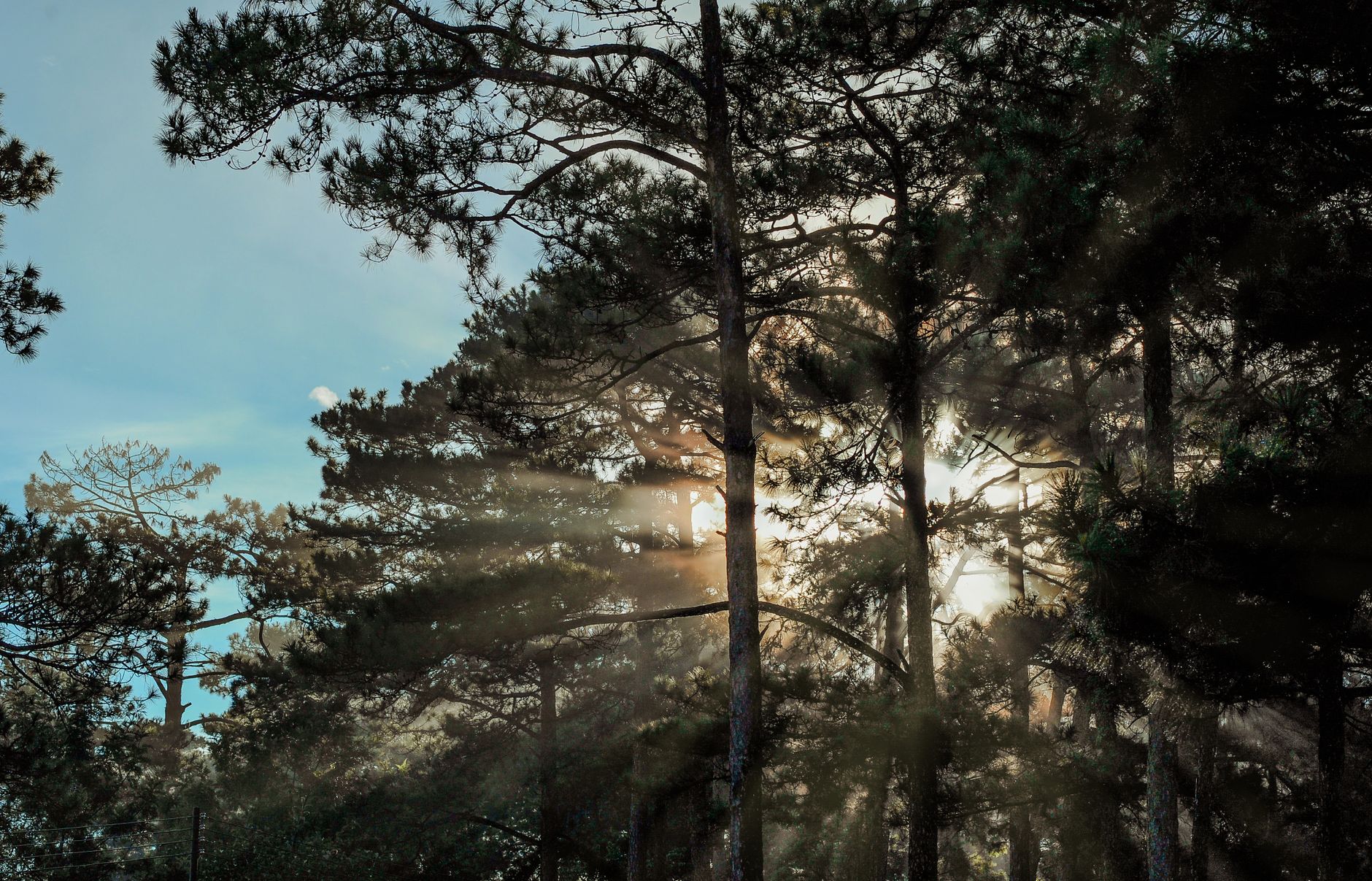 Genesis as Blueprint: Why You Were Made on Purpose