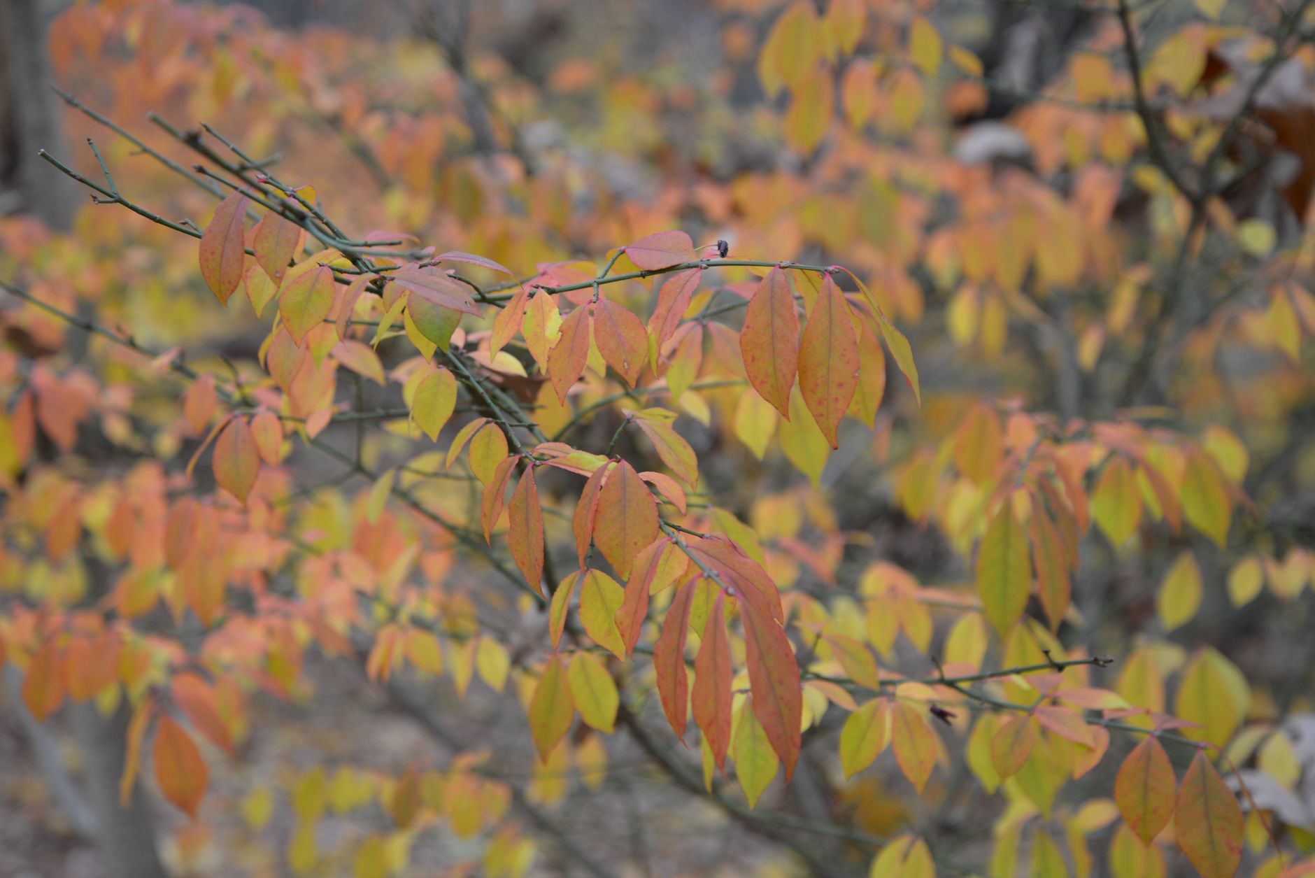 Burning Bush: Why Moses' Stalled Progress Was God's Plan
