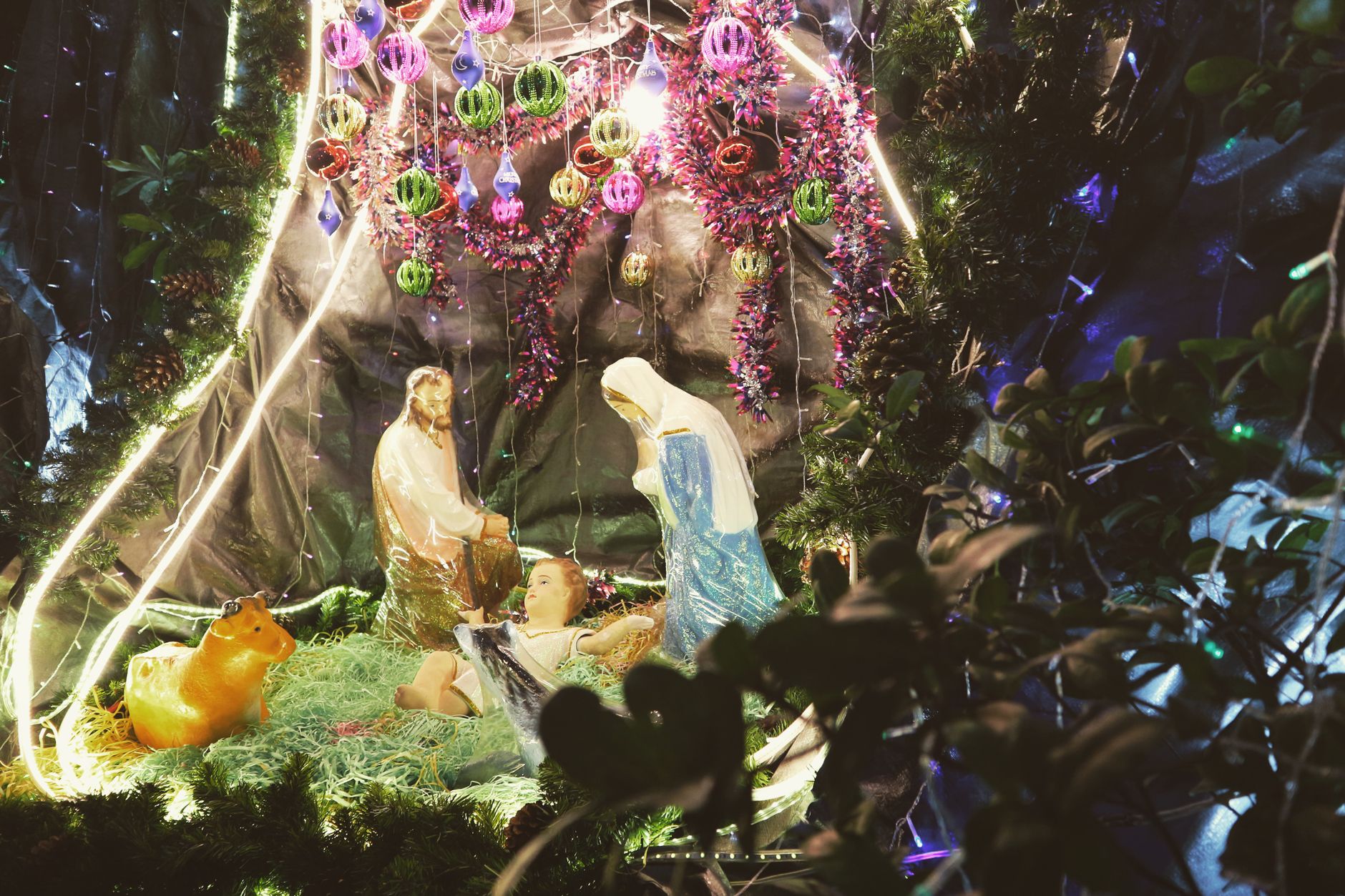 The Birth of Jesus and God's Promise Fulfilled - Bible Study