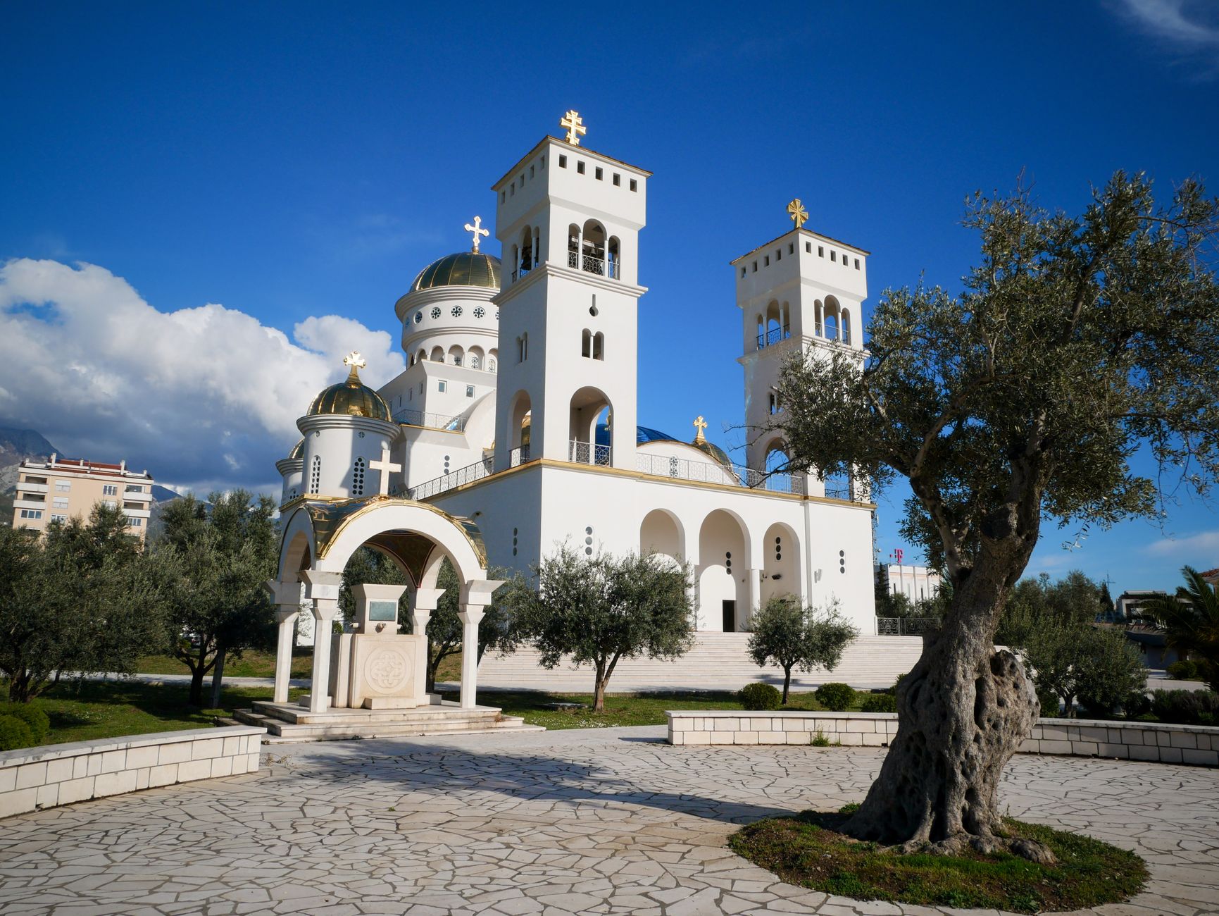 Gethsemane Meaning: Why Jesus Prayed in an Olive Press