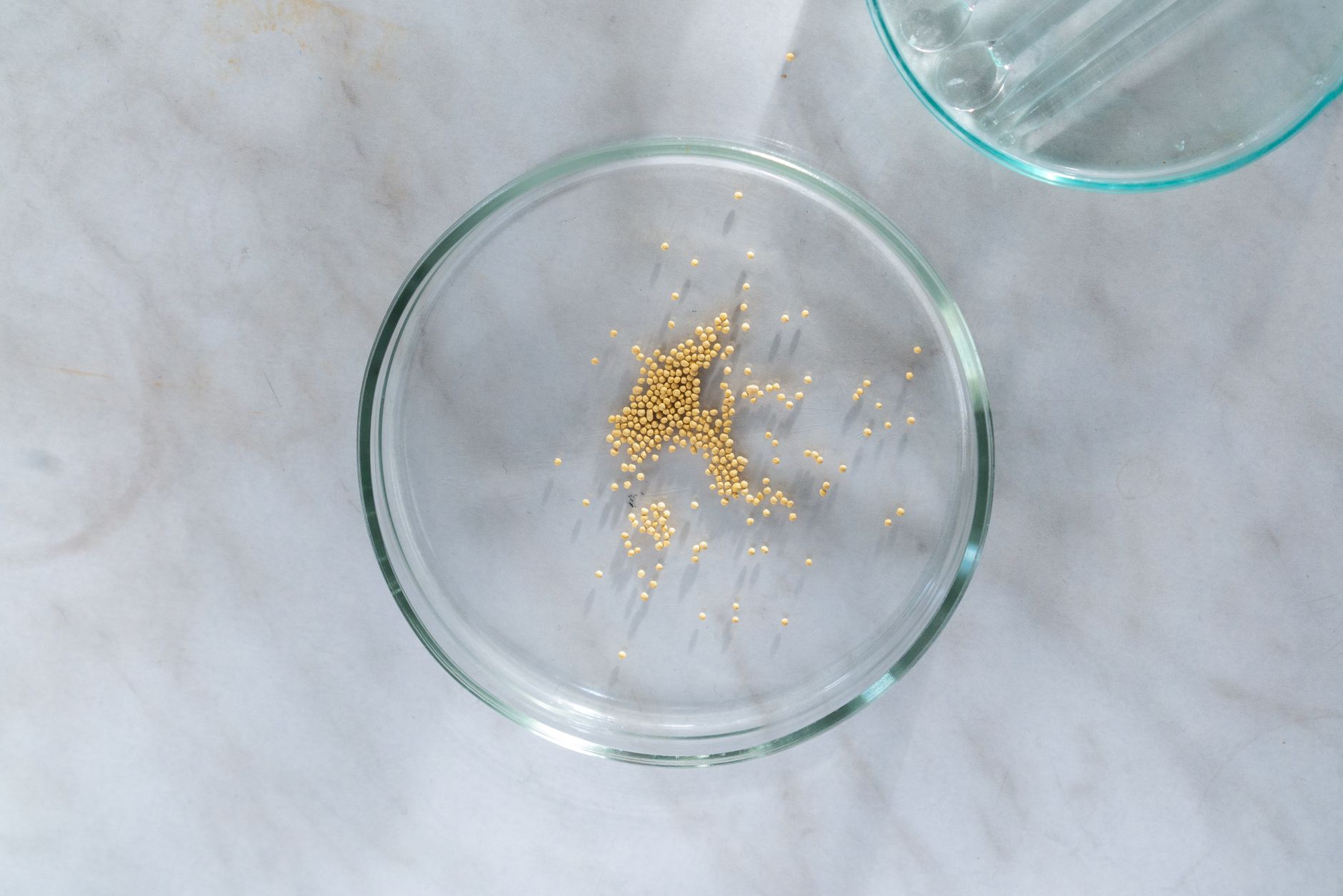 Mustard Seed Faith: Why Small Belief Moves Mountains