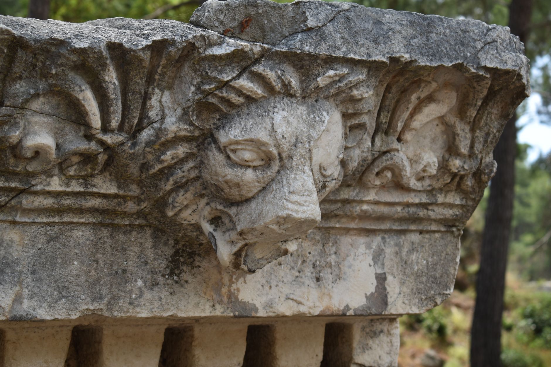 Daniel in the Lion's Den: Why His Routine Threatened the King