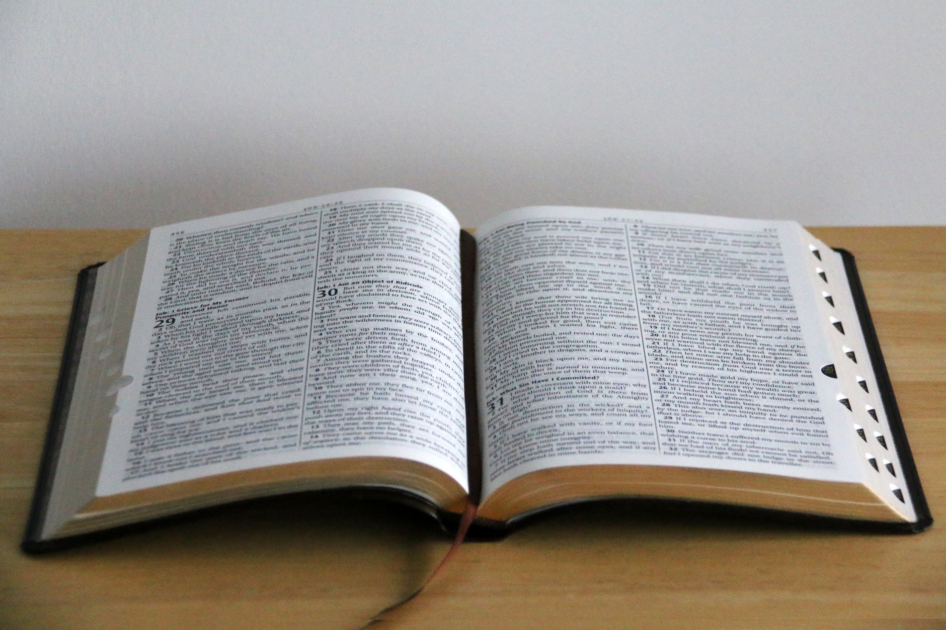 Renewing Your Mind: How Scripture Resets Your Brain