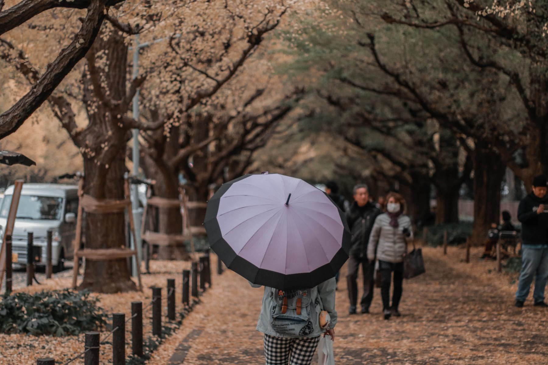 Do You Carry Your Umbrella