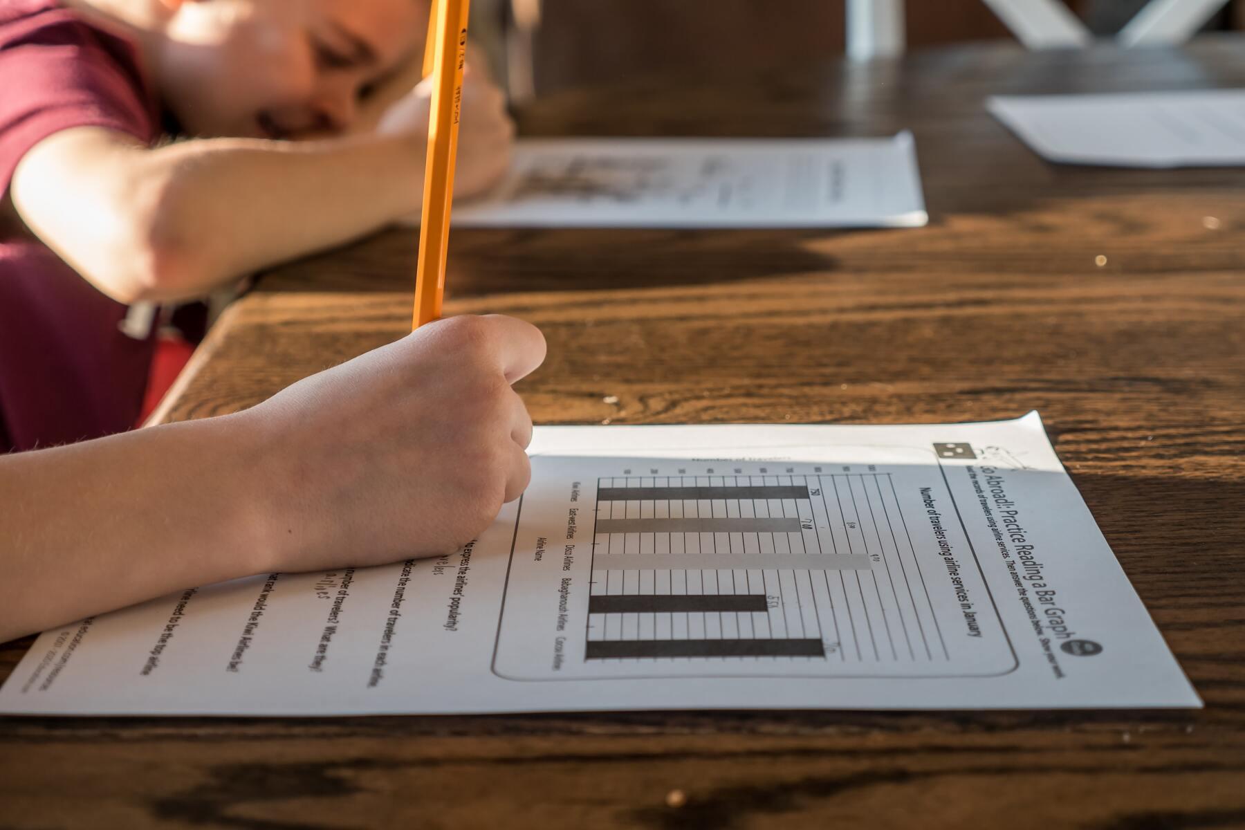 Coping With Homeschooling
