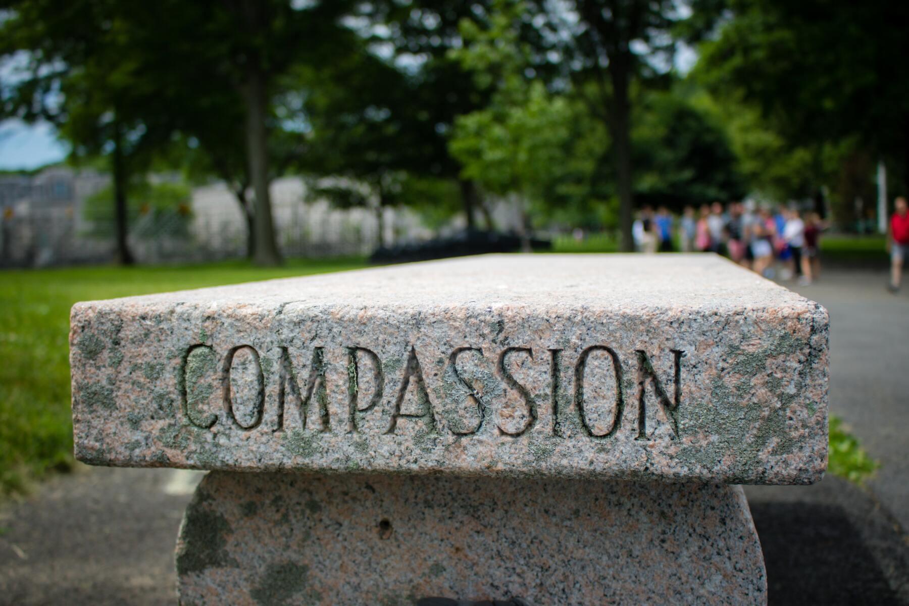 The Importance of Cultivating our Virtues