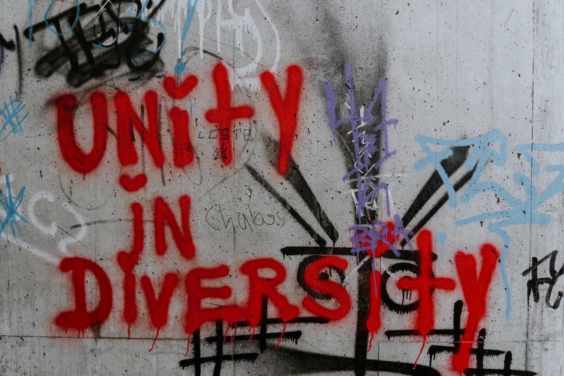 Pursue Unity in Diversity